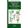 Tennessee Trees & Wildflowers door James Kavanaugh