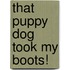 That Puppy Dog Took My Boots!