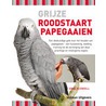 Grijze roodstaartpapegaaien