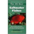 The 101 Best Saltwater Fishes