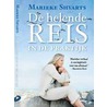 De helende Reis in de praktijk door Marieke Shvarts