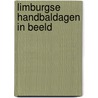 Limburgse Handbaldagen in beeld