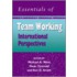 The Essentials of Teamworking