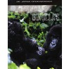 Leven in een groep gorilla's by Richard Spilsbury