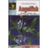The Guide To Owning Angelfish