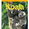 Koala door Rob Theodorou
