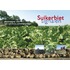 Suikerbietsignalen