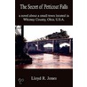 The Secret Of Petticoat Falls door Lloyd R. Jones