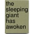 The Sleeping Giant Has Awoken