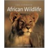 The Ultimate African Wildlife