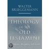 Theology Of The Old Testament door Walter Brueggamann