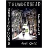 Thunderhead Underground Falls door Joel Orff