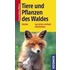 Tiere und Pflanzen des Waldes