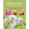 Phalaenopsis by J. Pinske