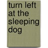 Turn Left At The Sleeping Dog door John Pen La Farge