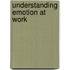 Understanding Emotion At Work
