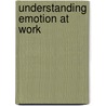 Understanding Emotion At Work door Stephen Fineman