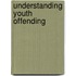 Understanding Youth Offending
