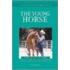Understanding the Young Horse
