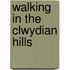 Walking In The Clwydian Hills