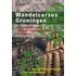 Wandelcursus Groningen