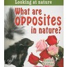 What Are Opposites In Nature? door Bobbie Kalman