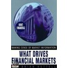 What Drives Financial Markets door Mr Brian B. Kettell