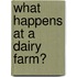 What Happens at a Dairy Farm?