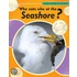 Who Eats Who At The Seashore?