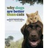 Why Dogs Are Better Than Cats