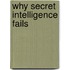 Why Secret Intelligence Fails