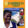Het moderne Caribisch gebied