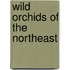 Wild Orchids of the Northeast