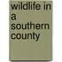 Wildlife In A Southern County