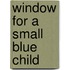Window for a Small Blue Child