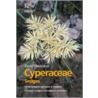 World Checklist of Cyperaceae door Rafael Govaerts