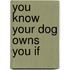 You Know Your Dog Owns You If