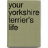 Your Yorkshire Terrier's Life