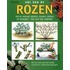 ABC van de rozen