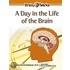 A Day in the Life of the Brain