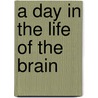 A Day in the Life of the Brain by Ana MaríA. Rodriguez