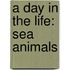 A Day in the Life: Sea Animals