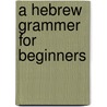 A Hebrew Grammer for Beginners door Cameron Rev. Duncan