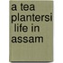 A Tea Plantersi  Life In Assam