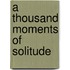 A Thousand Moments Of Solitude