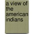A View Of The American Indians