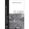A Walk Thru the Life of Elijah door Baker Publishing Group
