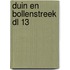 Duin en bollenstreek dl 13