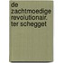 DE ZACHTMOEDIGE REVOLUTIONAIR. TER SCHEGGET