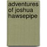 Adventures Of Joshua Hawsepipe